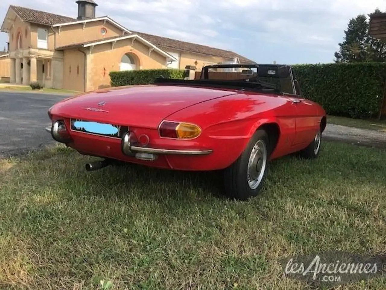 Alfa Romeo Spider Duetto 1750 Veloce, foto 4
