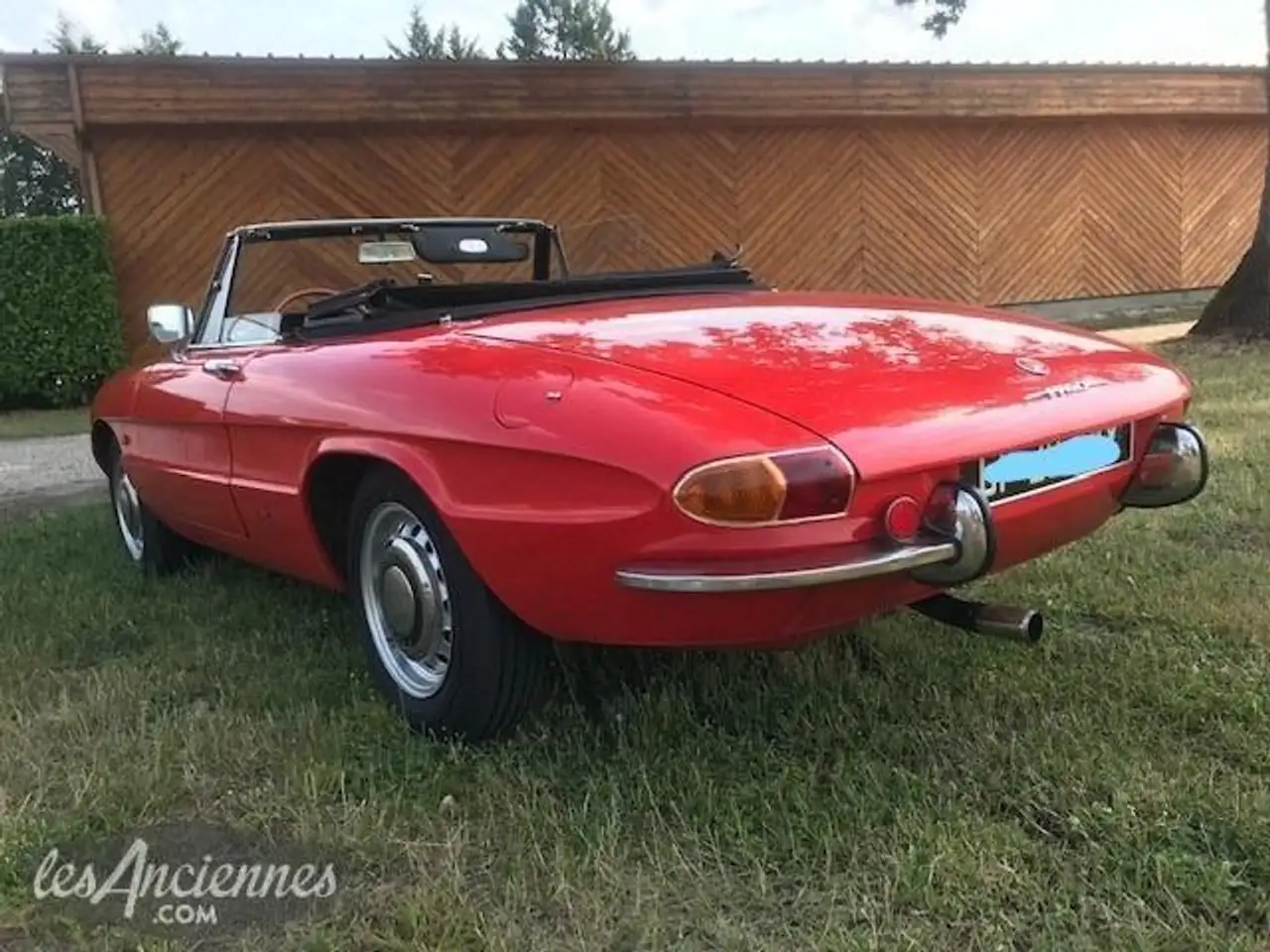 Alfa Romeo Spider Duetto 1750 Veloce, foto 5
