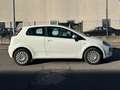 Fiat Punto Evo NEOPATENTATI BENZINA Blanc - thumbnail 8