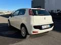 Fiat Punto Evo NEOPATENTATI BENZINA Blanc - thumbnail 5