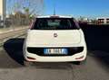 Fiat Punto Evo NEOPATENTATI BENZINA Blanc - thumbnail 6
