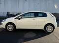 Fiat Punto Evo NEOPATENTATI BENZINA Blanc - thumbnail 4