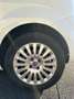 Fiat Punto Evo NEOPATENTATI BENZINA Blanc - thumbnail 9