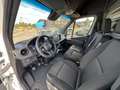 Mercedes-Benz Sprinter 317 CDI RWD EU6d Blanc - thumbnail 13