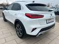 Kia XCeed Platinum Edition Autom Panno RKF Leder Nav Weiß - thumbnail 5