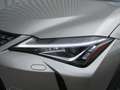 Lexus UX 250h Advanced E-four 1.4kWh Aut. Silber - thumbnail 27