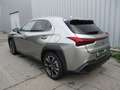 Lexus UX 250h Advanced E-four 1.4kWh Aut. Silber - thumbnail 5