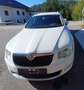 Skoda Superb Superb Combi Elegance 2,0 TDI CR DPF DSG Elegance Weiß - thumbnail 3