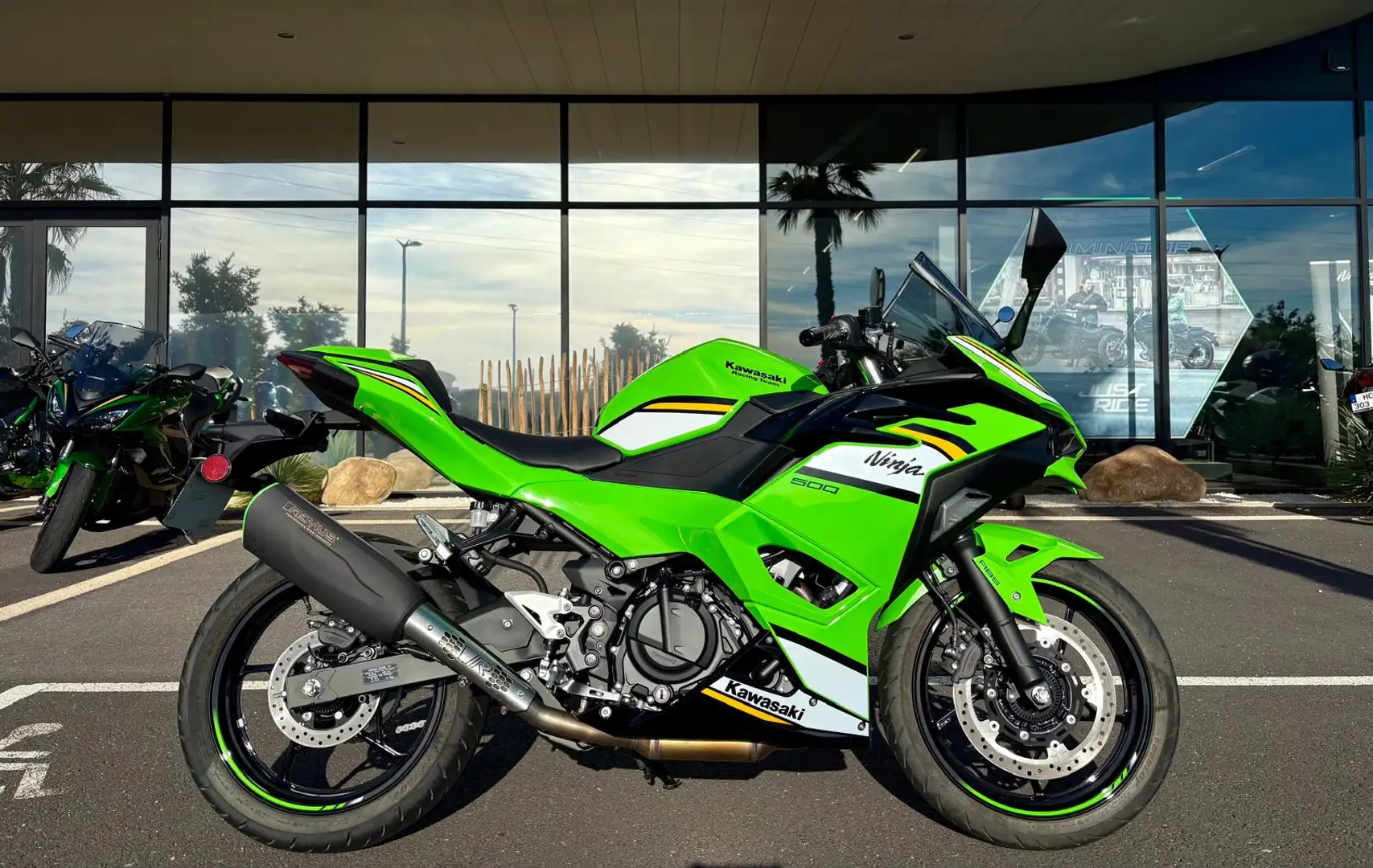Kawasaki Ninja 500 SE Grün - 1