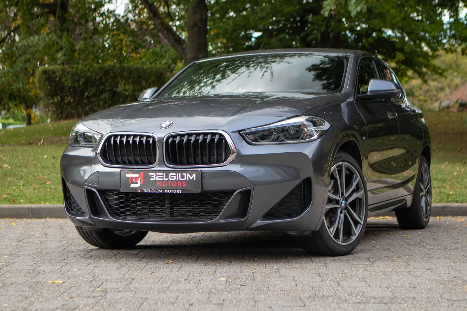 BMW X2 - sDrive18i M sport - Headup - Memory - Pano Gris - 1