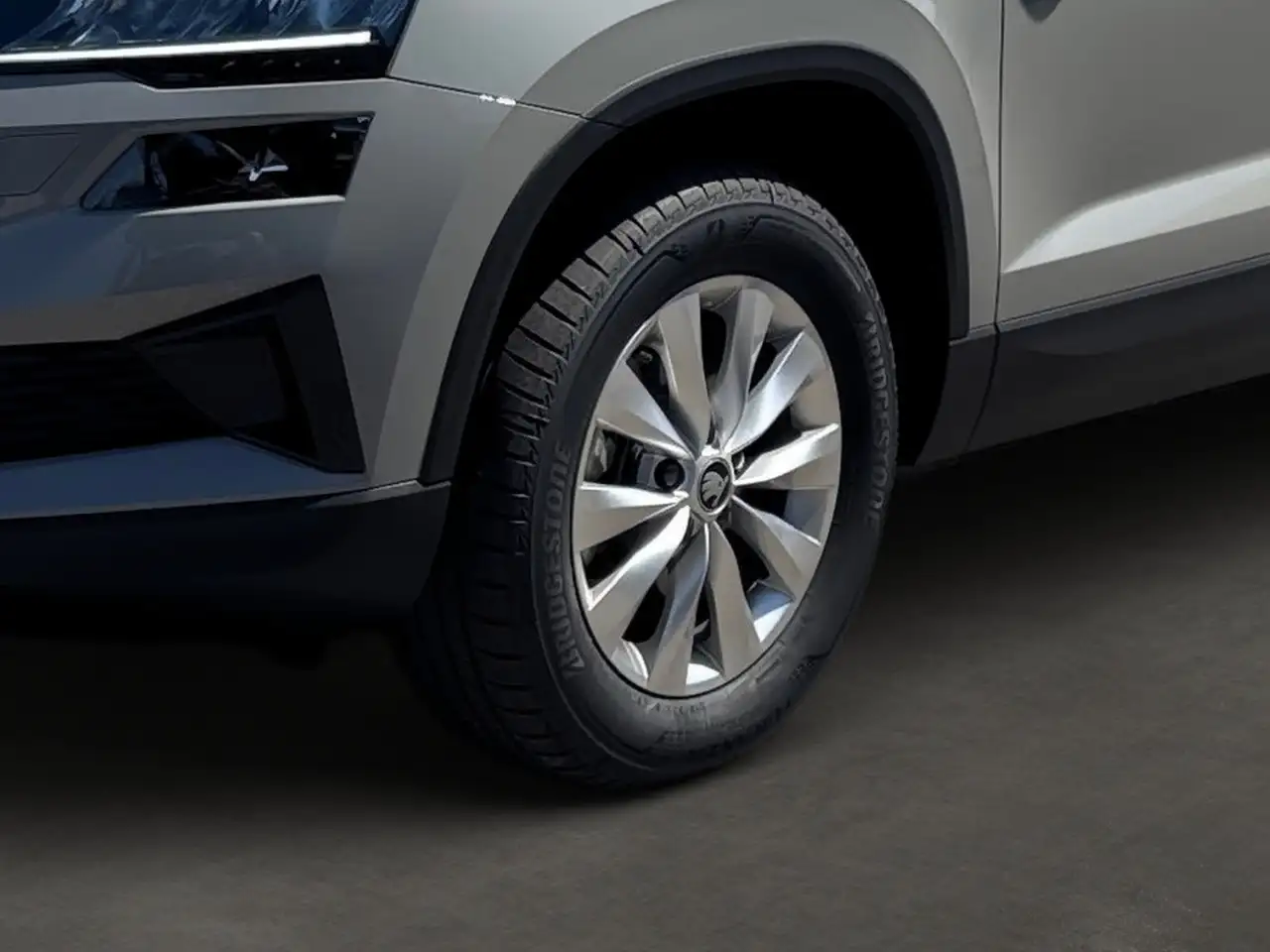 Skoda Karoq 2026 — фото 7