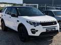 Land Rover Discovery Sport 2,0 7-Sitze!! TD4 4WD Pure Aut. Weiß - thumbnail 3