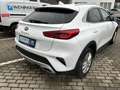 Kia XCeed 1,4TGDI GPF silber DCT Aut. - thumbnail 17