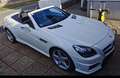 Mercedes-Benz SLK 350 BlueEfficiency Aut. AMG Design Білий - thumbnail 5
