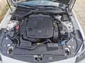 Mercedes-Benz SLK 350 BlueEfficiency Aut. AMG Design Білий - thumbnail 11