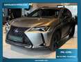 Lexus UX 250h 250 h Grau - thumbnail 1