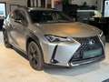 Lexus UX 250h 250 h Grau - thumbnail 2