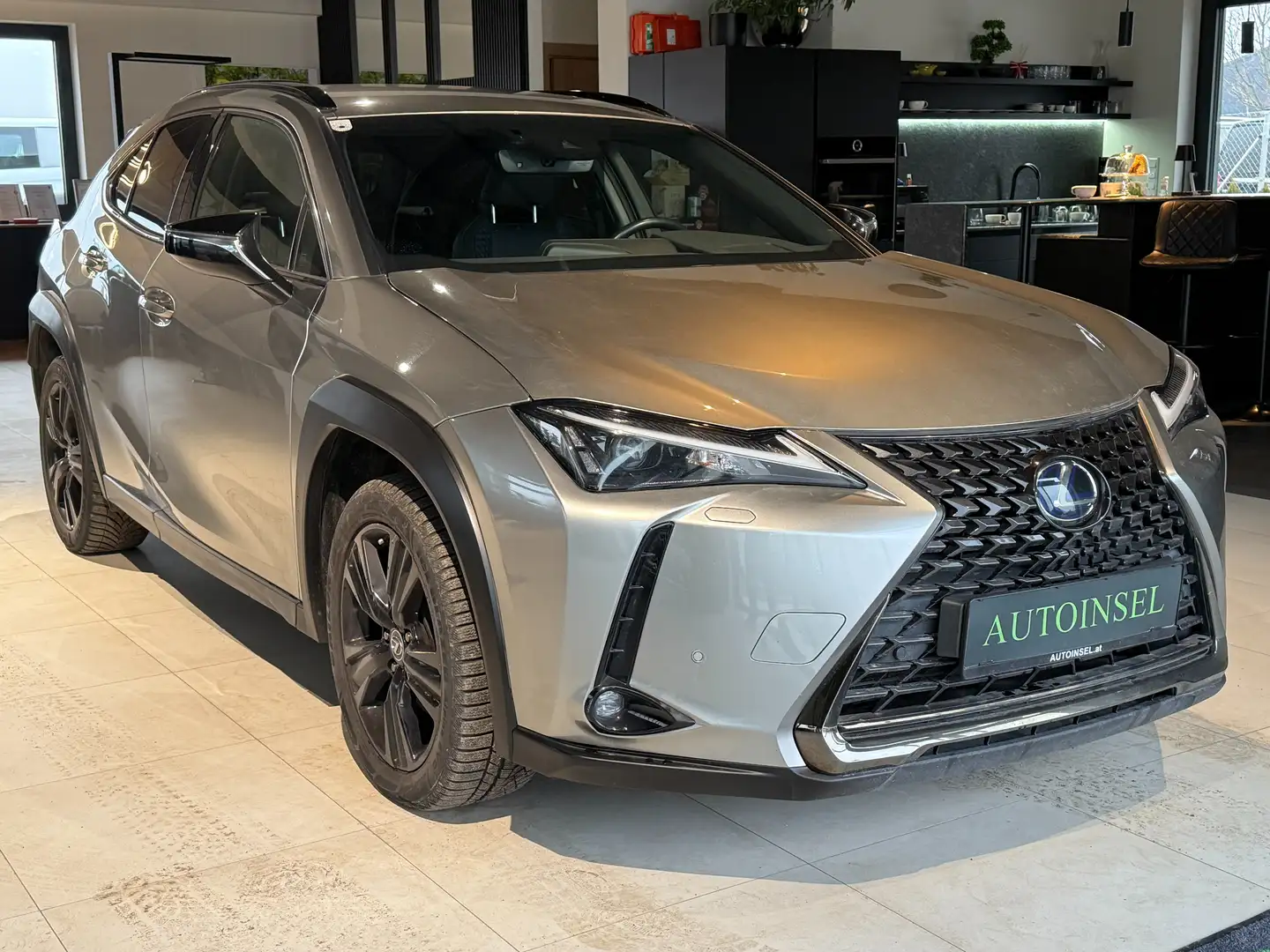 Lexus UX 250h 250 h Grau - 2