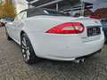 Jaguar XK 5.0 V8 Portfolio Cabriolet*R Optik*SHZ*LKH Blanco - thumbnail 7