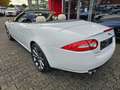 Jaguar XK 5.0 V8 Portfolio Cabriolet*R Optik*SHZ*LKH Blanco - thumbnail 6