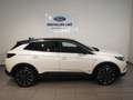 Opel Grandland X 1,6 Turbo PHEV Innovation Weiß - thumbnail 3