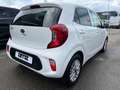Kia Picanto 1.2 Edition Dream Team Alu*Klima*Navi White - thumbnail 6