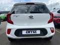 Kia Picanto 1.2 Edition Dream Team Alu*Klima*Navi Biały - thumbnail 8