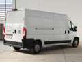 Fiat Ducato 35 2.3 MJT 140CV PL-TA L3H2 Furgone Maxi Bianco - thumbnail 7