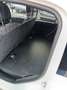 Fiat Panda Panda 1.0 GSE S&S Hybrid Pop Van 2 posti Weiß - thumbnail 9