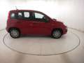 Fiat Panda 1.0 HYB 70CV Rot - thumbnail 4