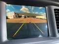 Dodge Charger 2020er 6.4 SRT Scatpack Schiebedach Grün - thumbnail 13