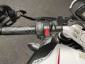 MV Agusta Dragster MVAGUSTA 800 Wit - thumbnail 21