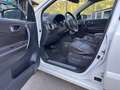 Renault Koleos Koleos 2,0 dCi 175 4WD Bose Edition Aut. Weiß - thumbnail 11