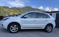Renault Koleos Koleos 2,0 dCi 175 4WD Bose Edition Aut. Weiß - thumbnail 2