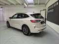 Ford Kuga 2.5 full hybrid ST-Line 2wd 190cv cvt Bianco - thumbnail 3