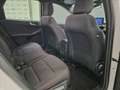 Ford Kuga 2.5 full hybrid ST-Line 2wd 190cv cvt Bianco - thumbnail 14