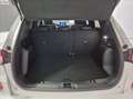 Ford Kuga 2.5 full hybrid ST-Line 2wd 190cv cvt Bianco - thumbnail 24