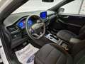 Ford Kuga 2.5 full hybrid ST-Line 2wd 190cv cvt Bianco - thumbnail 9