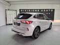 Ford Kuga 2.5 full hybrid ST-Line 2wd 190cv cvt Bianco - thumbnail 5