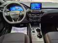 Ford Kuga 2.5 full hybrid ST-Line 2wd 190cv cvt Bianco - thumbnail 13