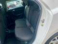 Audi A1 30 TFSI *AUTOMATIK*VIRTUAL*KLIMA*SITZHZG*GRA* Weiß - thumbnail 10