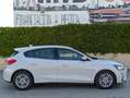 Ford Focus 2.0Ecoblue Titanium Aut. 150 Gris - thumbnail 2