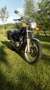 Suzuki GR 650 - thumbnail 3