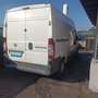 Fiat Ducato - thumbnail 3