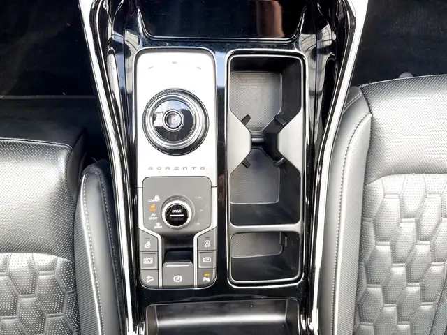 Kia Sorento view 13