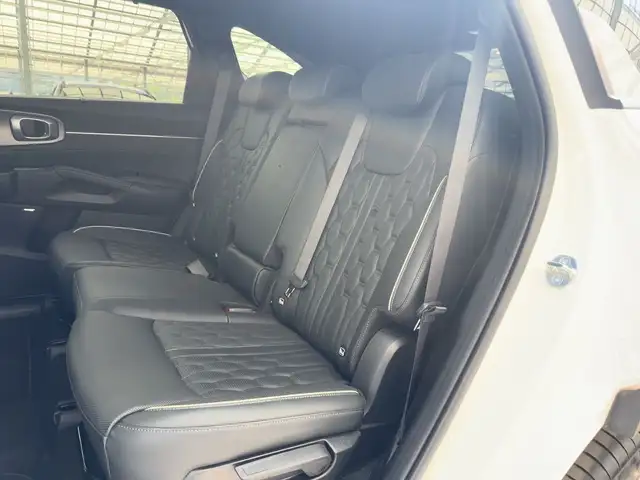 Kia Sorento view 15