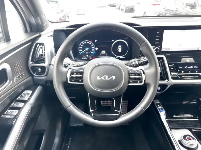 Kia Sorento view 10