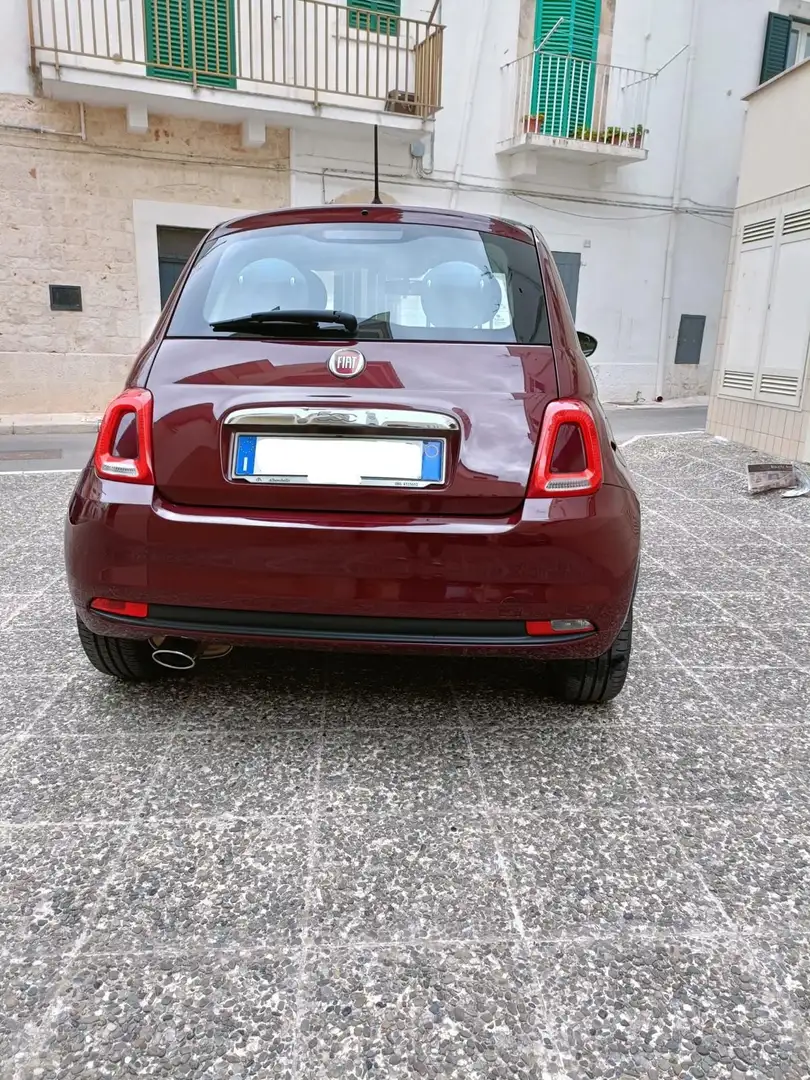 Fiat 500 1.2 easypower Pop Star Gpl 69cv my14 - 1