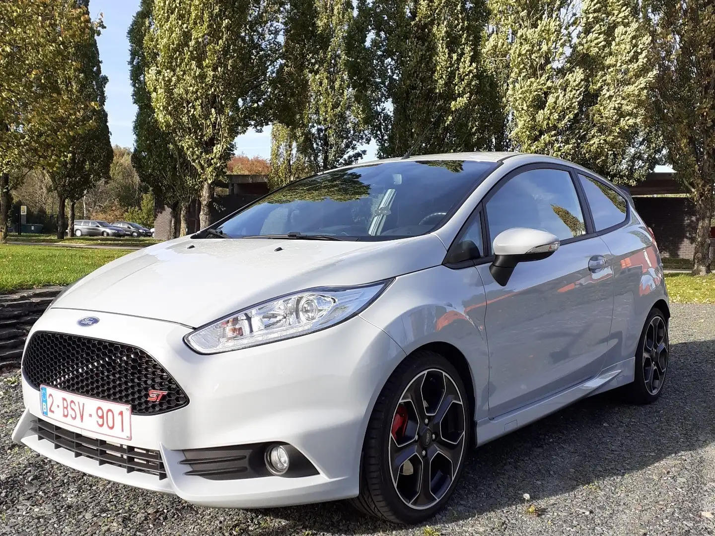 Ford Fiesta 1.6 EcoBoost ST200 Gris - 2