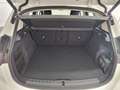 BMW 218 Sportsitze, AHK, 17 Zoll, ACC Weiß - thumbnail 13